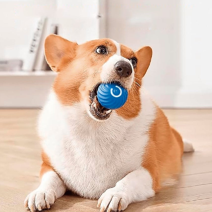 Pelota Inteligente para mascotas