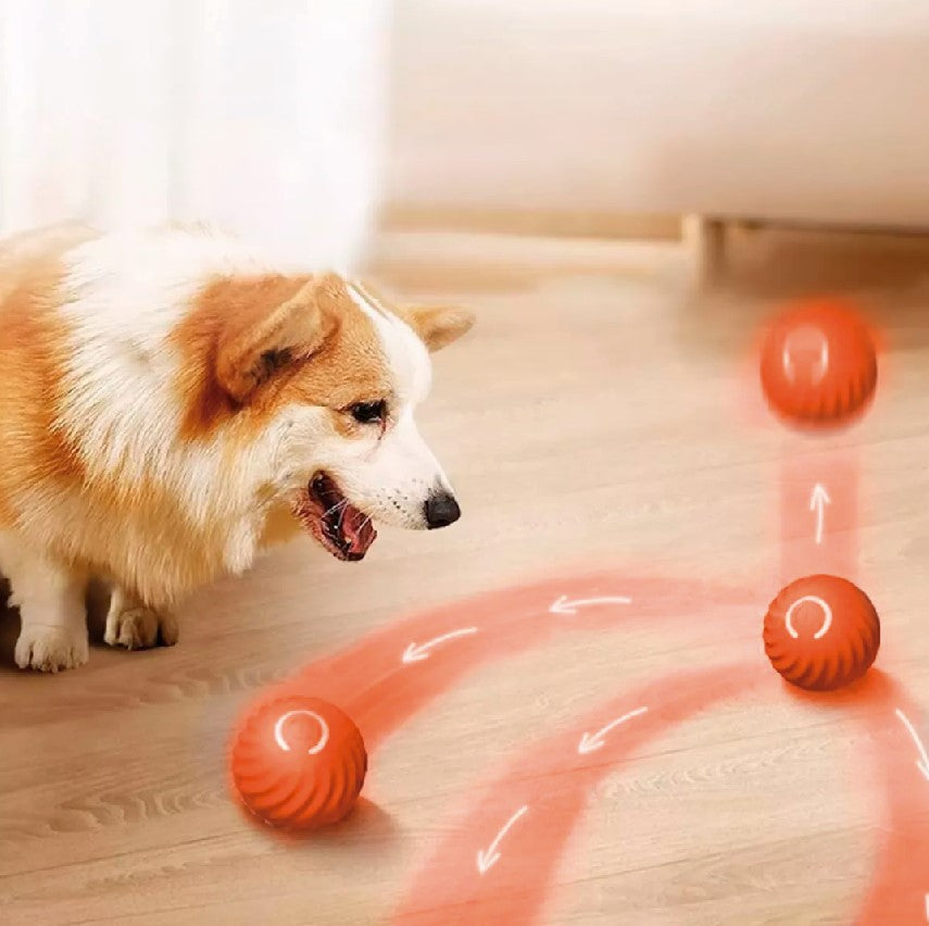 Pelota Inteligente para mascotas